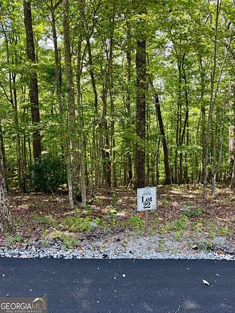 1.77 Acres of Land for Sale in Blue Ridge, Georgia