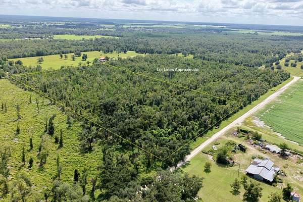 20.2 Acres of Recreational Land for Sale in Madison, Florida
