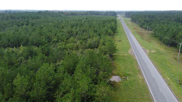 52.5 Acres of Recreational Land for Sale in Columbia, Mississippi