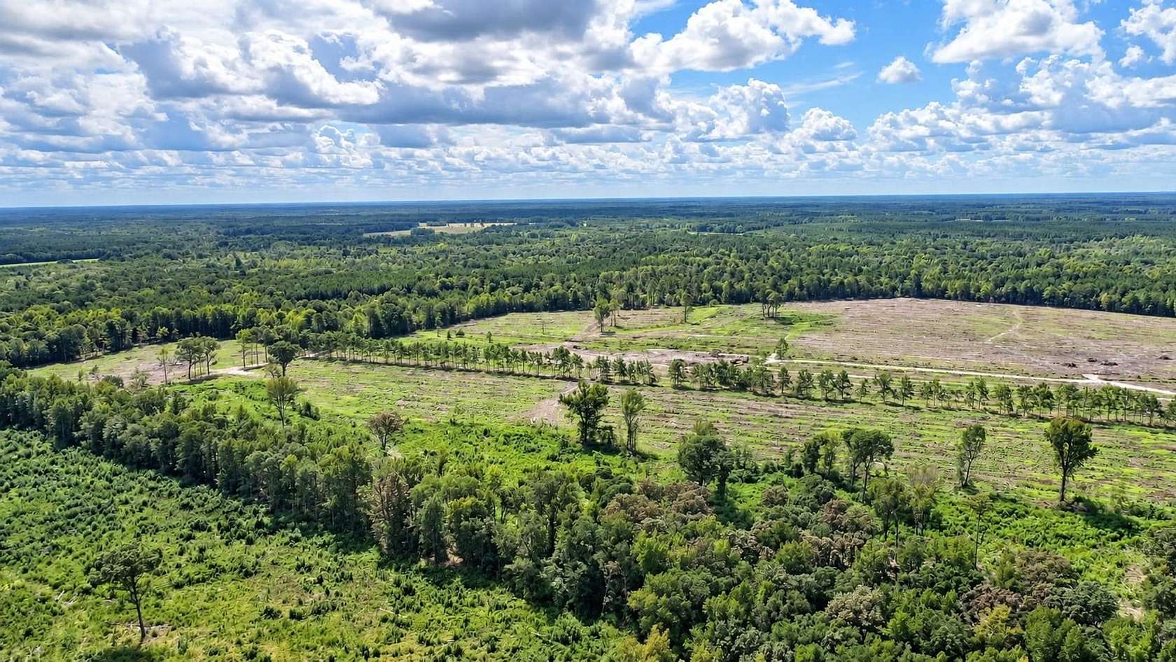 236 Acres of Recreational Land for Sale in Greeleyville, South Carolina