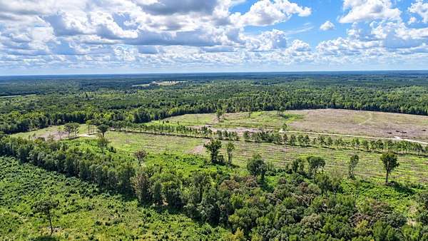 236 Acres of Recreational Land for Sale in Greeleyville, South Carolina