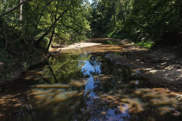 249 Acres of Land for Sale in Adamsville, Tennessee