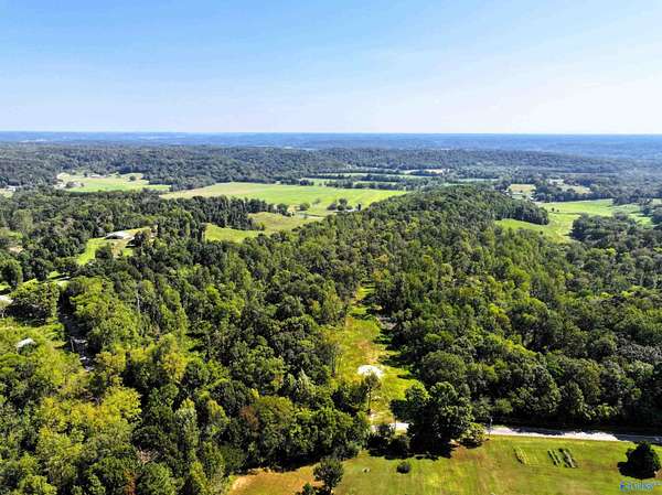 88 Acres of Recreational & Residential Land for Auction in Elkmont, Alabama