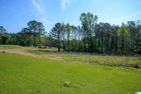 6.57 Acres of Land for Sale in Adger, Alabama