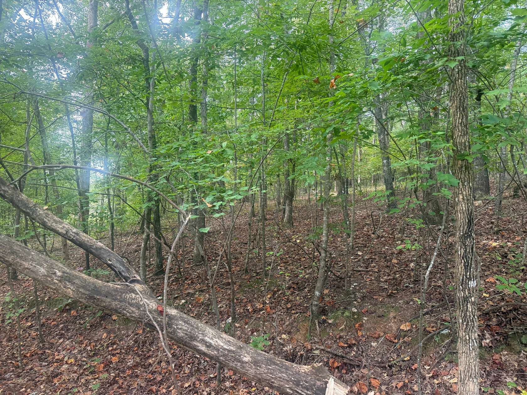 5 Acres of Residential Land for Sale in Goodwater, Alabama