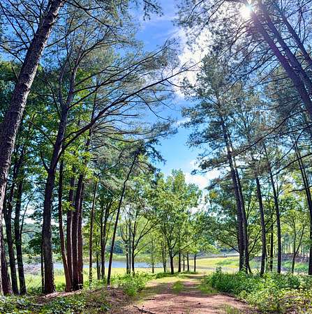 264 Acres of Recreational & Residential Land for Sale in Maysville, Georgia