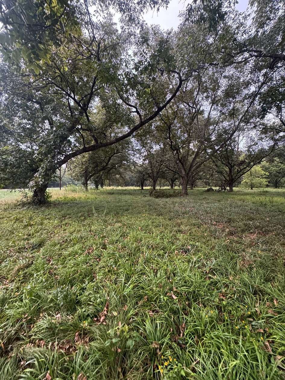 1.5 Acres of Residential Land for Sale in Tallulah, Louisiana
