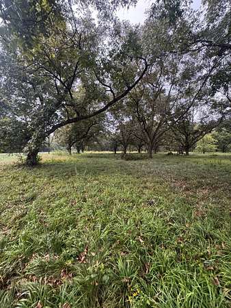 1.5 Acres of Residential Land for Sale in Tallulah, Louisiana