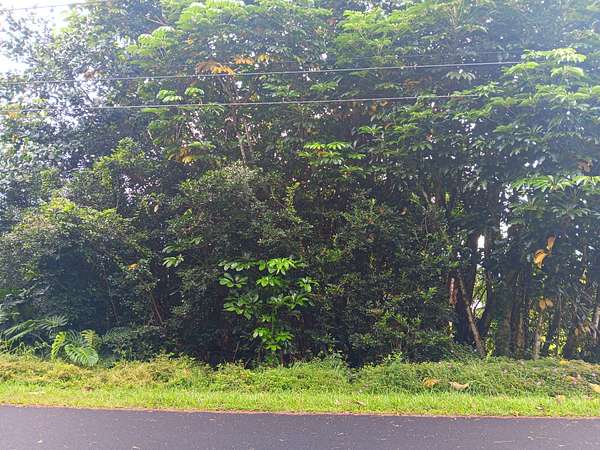 1 Acre of Residential Land for Sale in Pahoa, Hawaii