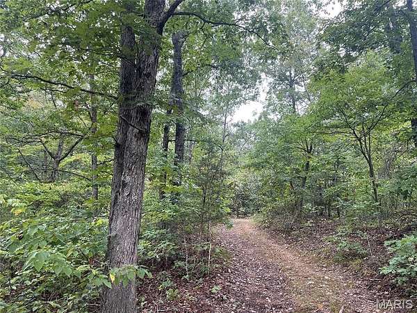 23 Acres of Land for Sale in Piedmont, Missouri