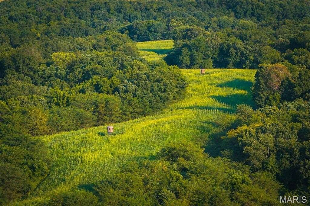 173 Acres of Land for Sale in Pleasant Hill, Illinois