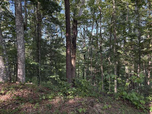 5 Acres of Residential Land for Sale in Walland, Tennessee