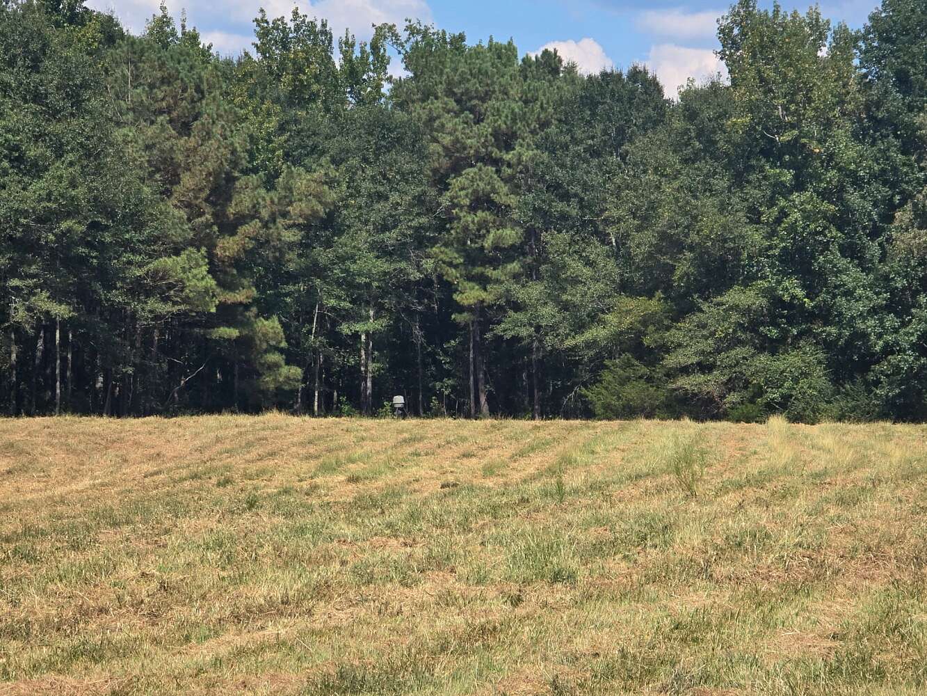 158 Acres of Recreational Land for Sale in Kennedy, Alabama