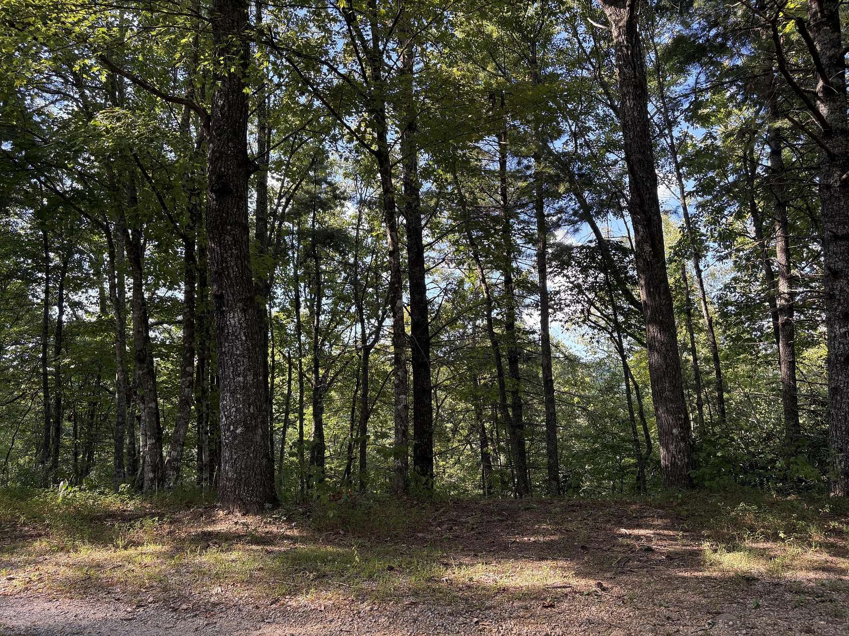5 Acres of Residential Land for Sale in Walland, Tennessee