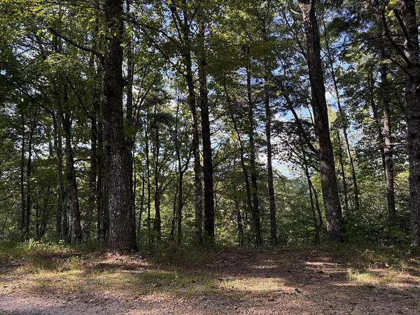 5 Acres of Residential Land for Sale in Walland, Tennessee