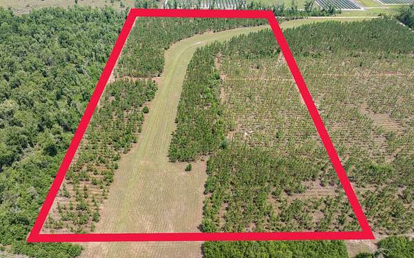 20 Acres of Land for Sale in Live Oak, Florida