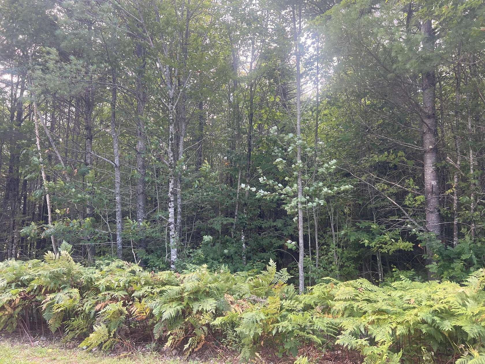 2 Acres of Land for Sale in Bethel, Maine