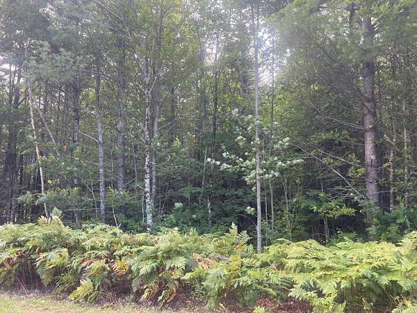 2 Acres of Land for Sale in Bethel, Maine