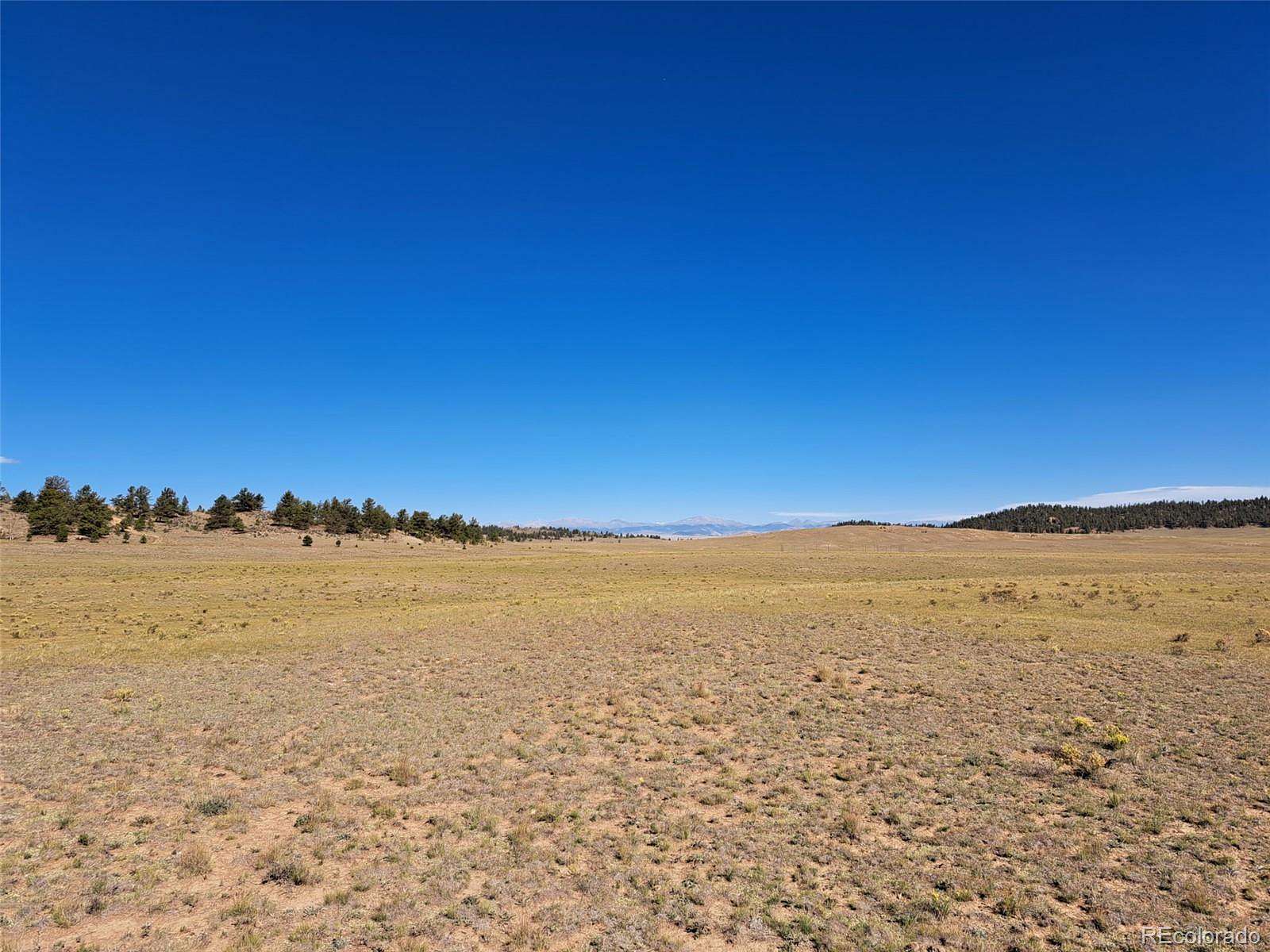 7.84 Acres of Residential Land for Sale in Hartsel, Colorado