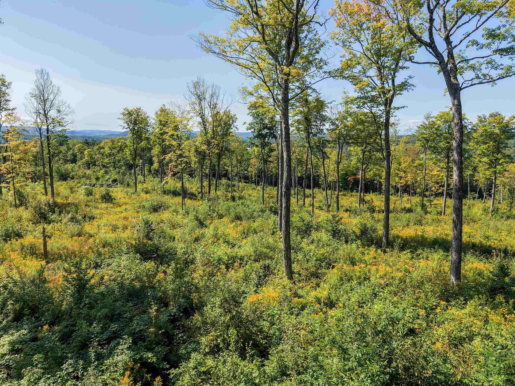 10.8 Acres of Land for Sale in Jericho, Vermont