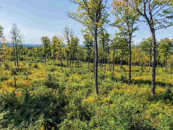10.8 Acres of Land for Sale in Jericho, Vermont