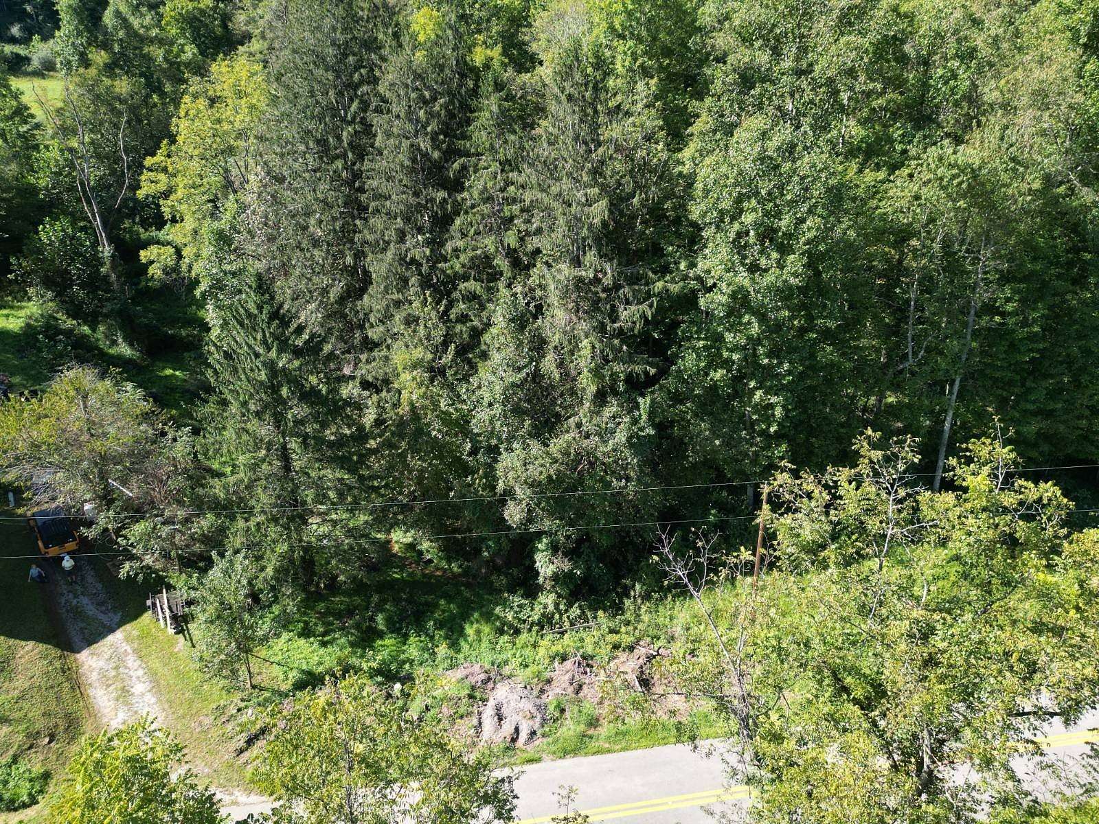 44.6 Acres of Land for Sale in Grantsville, West Virginia