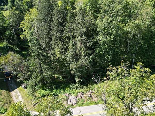 44.6 Acres of Land for Sale in Grantsville, West Virginia