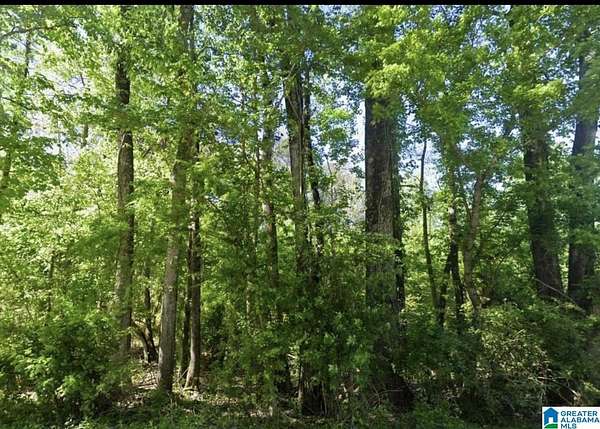 1.48 Acres of Land for Sale in Talladega, Alabama