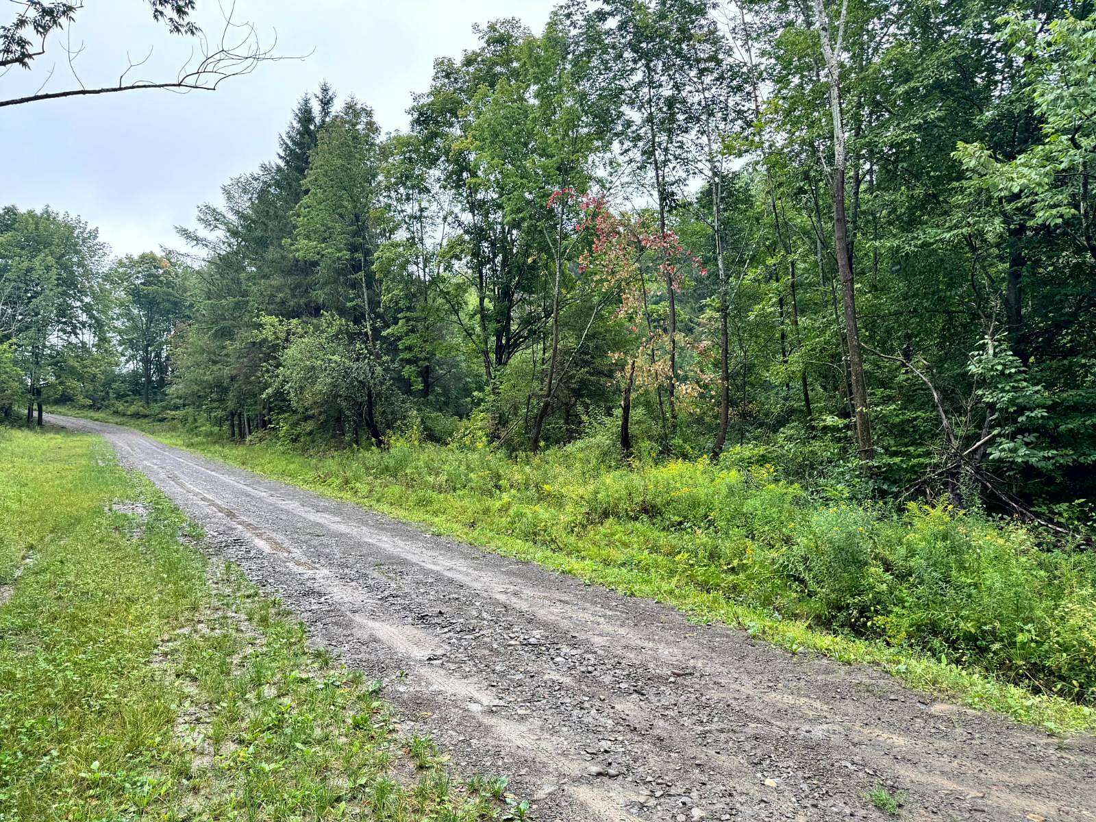 5.25 Acres of Residential Land for Sale in Richford, New York