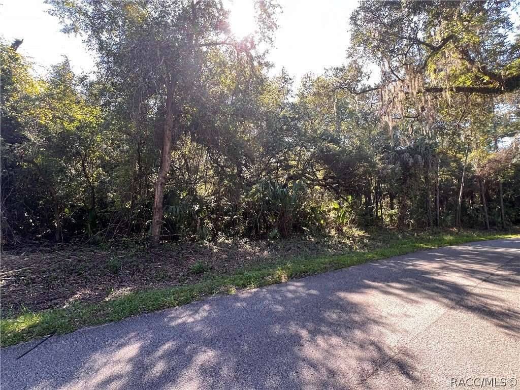 1.14 Acres of Residential Land for Sale in Crystal River, Florida
