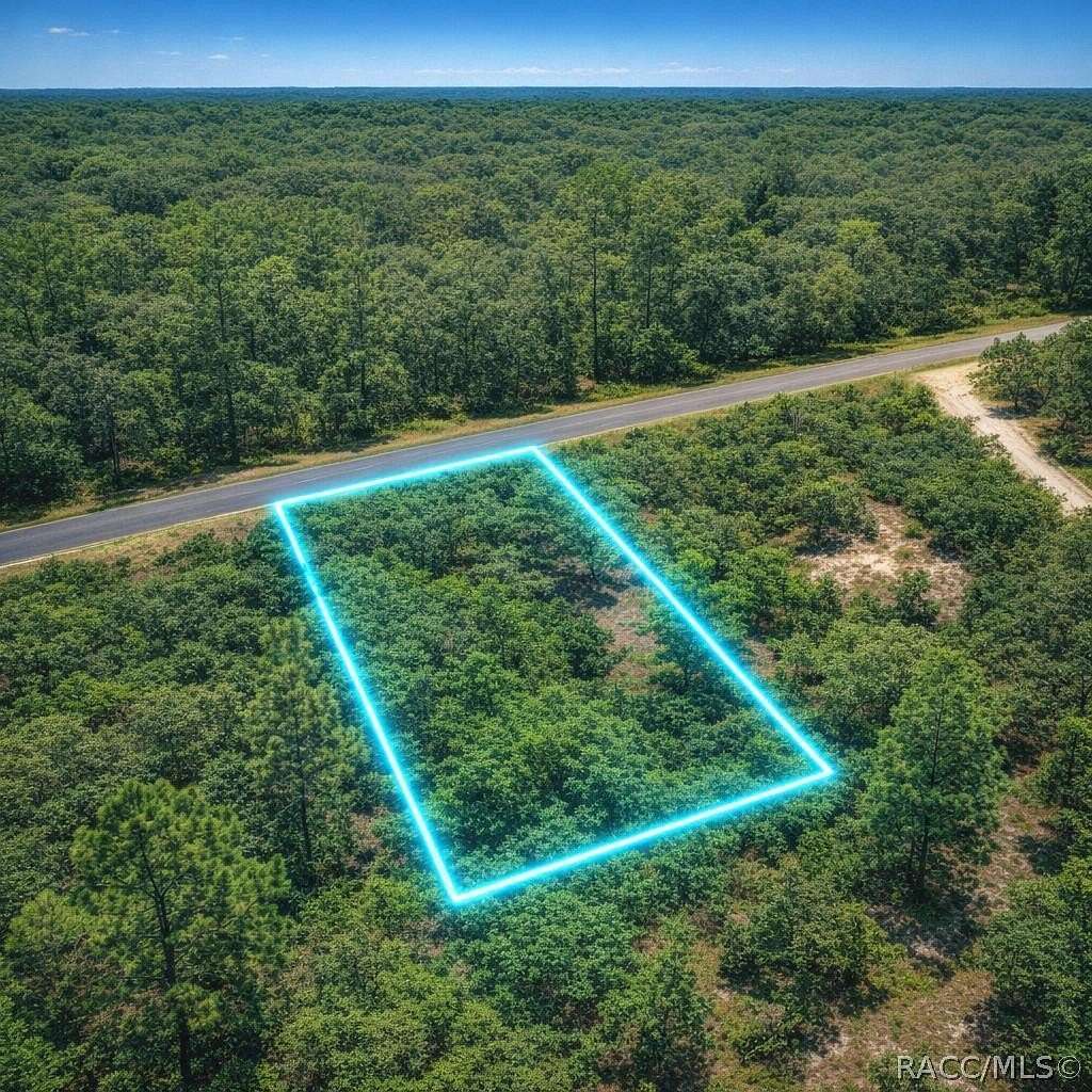 1 Acre of Land for Sale in Dunnellon, Florida