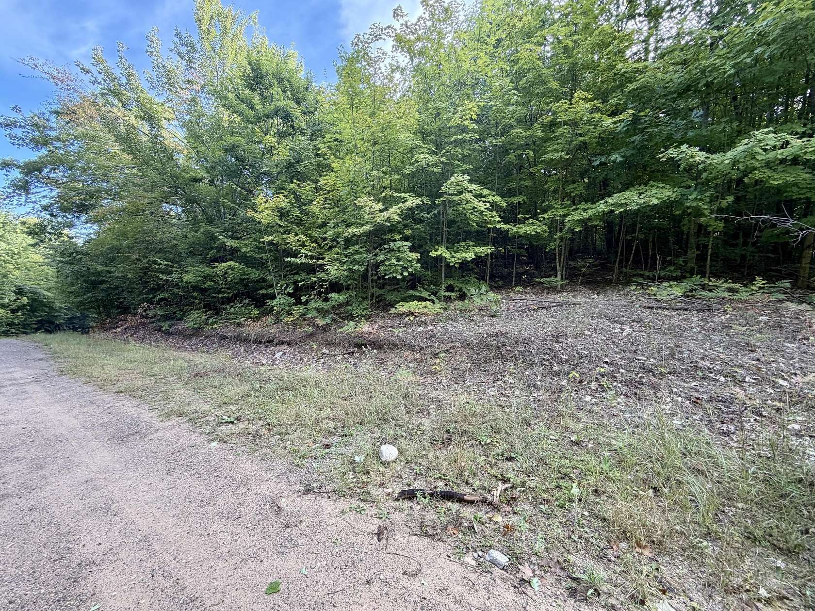5.6 Acres of Land for Sale in Boyne Falls, Michigan