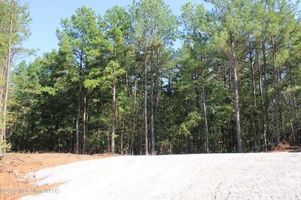 113 Acres of Recreational & Residential Land for Sale in Ashland, Mississippi