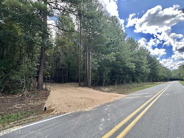 22 Acres of Recreational & Residential Land for Sale in Braxton, Mississippi