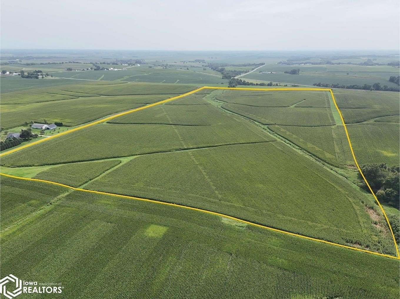 77.3 Acres of Agricultural Land for Sale in Nichols, Iowa