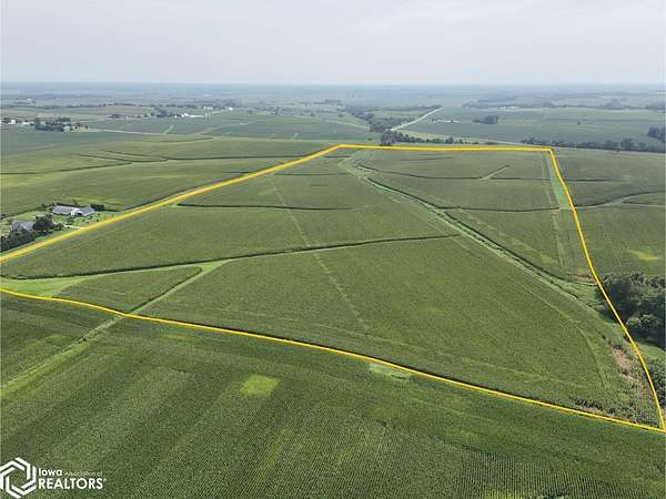 77.3 Acres of Agricultural Land for Sale in Nichols, Iowa