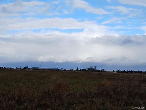 75 Acres of Land for Sale in Rudyard, Michigan