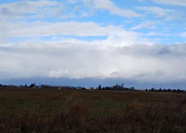 75 Acres of Land for Sale in Rudyard, Michigan