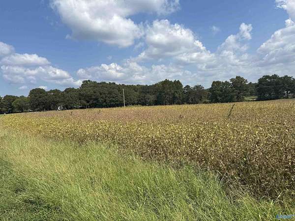 7.9 Acres of Land for Sale in Albertville, Alabama