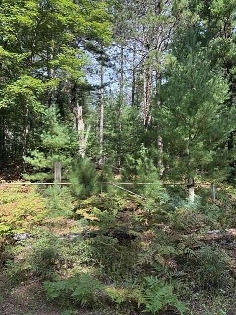 2.5 Acres of Residential Land for Sale in Prudenville, Michigan