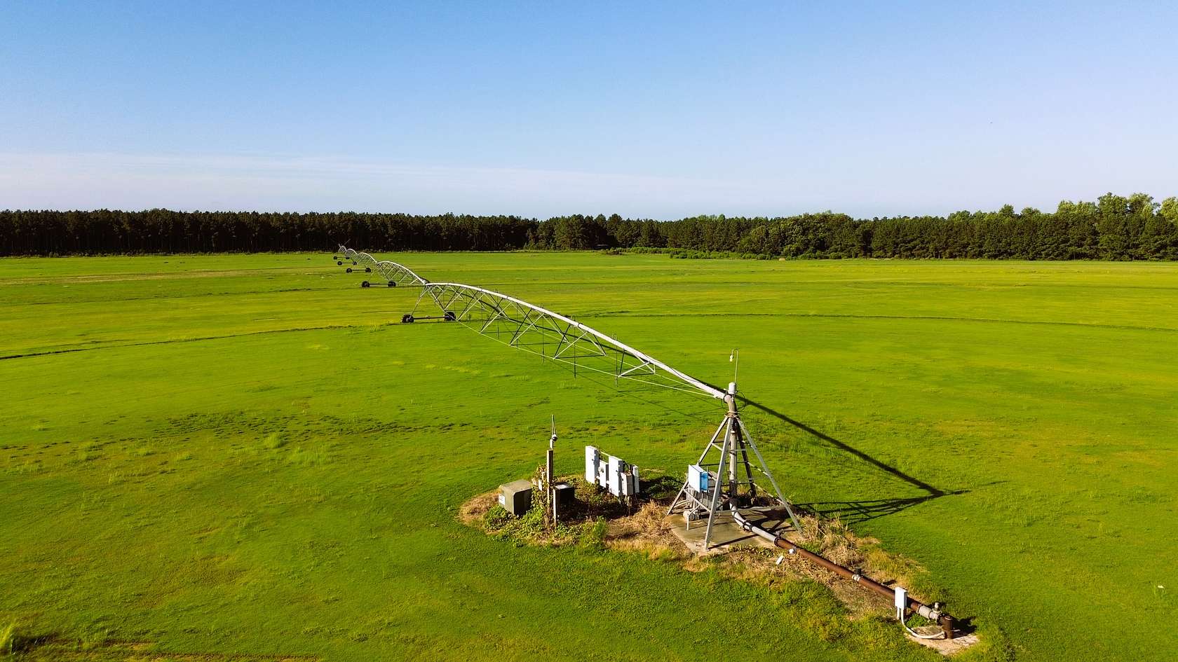 96 Acres of Land for Sale in Sylvania, Georgia