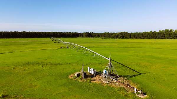 96 Acres of Land for Sale in Sylvania, Georgia