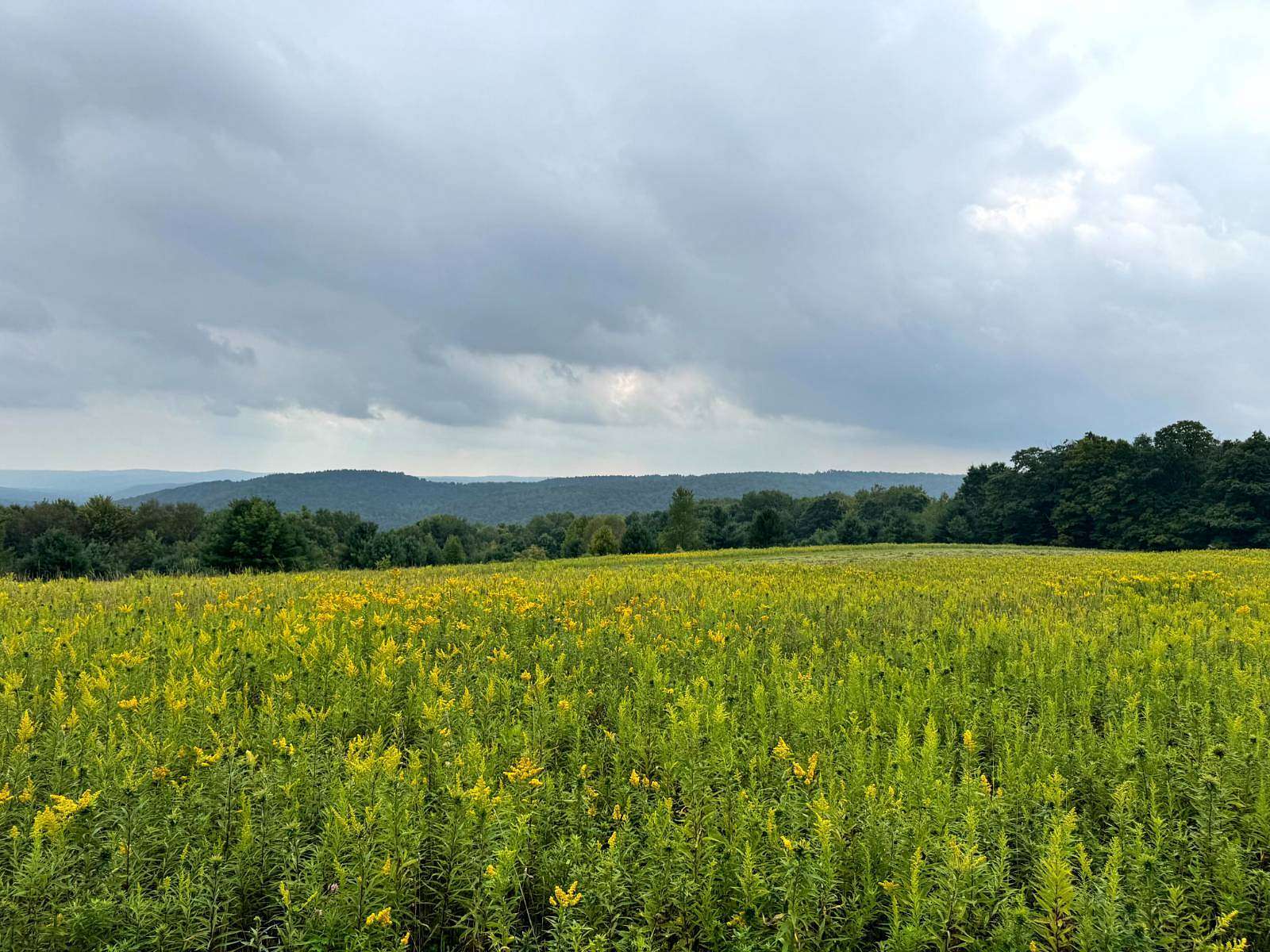 10.1 Acres of Recreational & Residential Land for Sale in Richford, New York