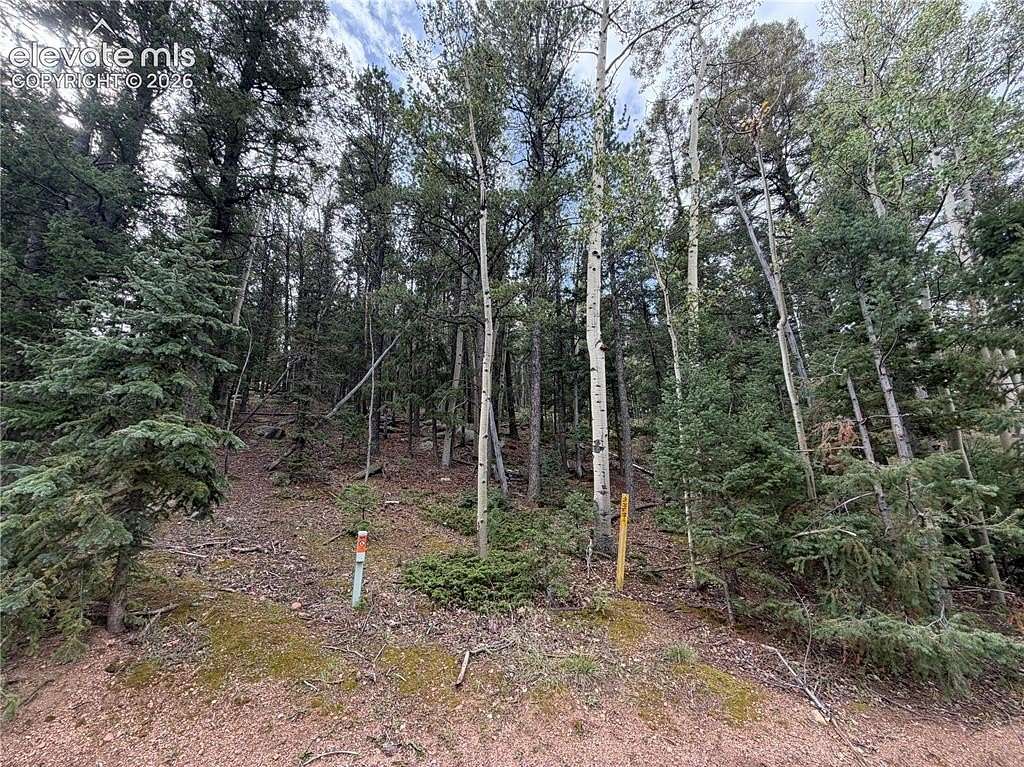 0.69 Acres of Residential Land for Sale in Divide, Colorado