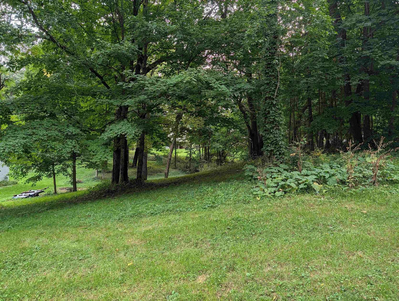 0.34 Acres of Land for Sale in Lake Summerset, Illinois
