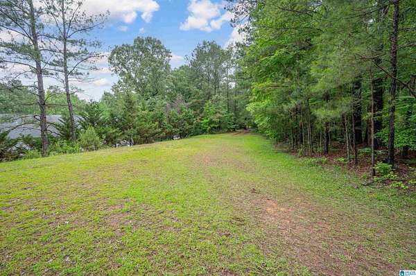 8.56 Acres of Residential Land for Sale in Chelsea, Alabama