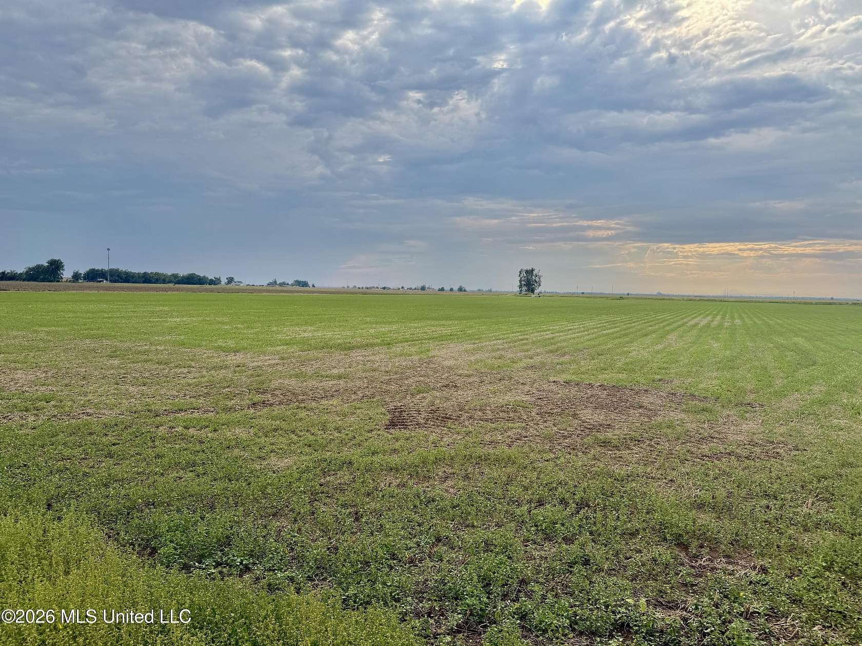 1.7 Acres of Residential Land for Sale in Cleveland, Mississippi