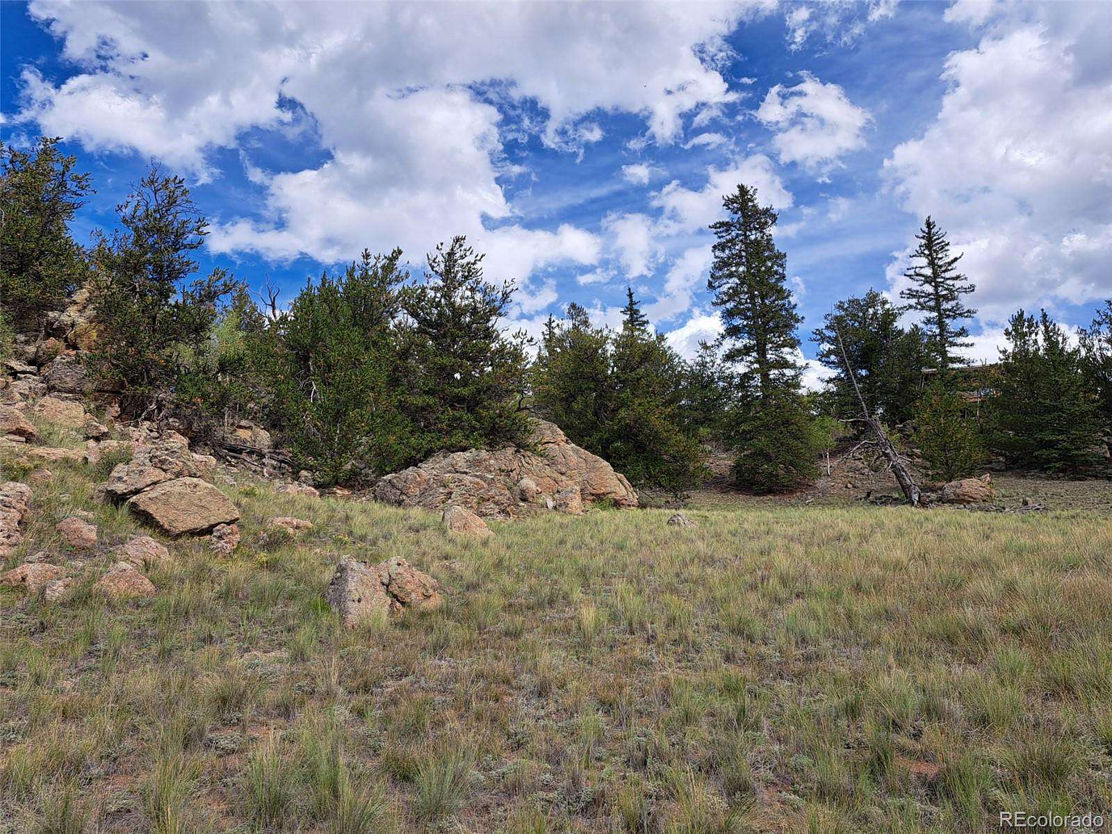 5 Acres of Land for Sale in Jefferson, Colorado