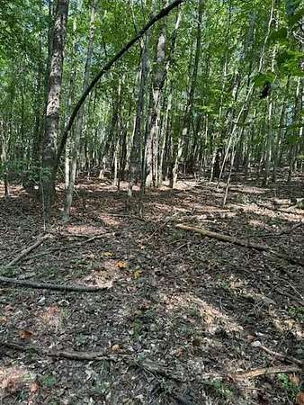 11.6 Acres of Agricultural Land for Sale in Phil Campbell, Alabama