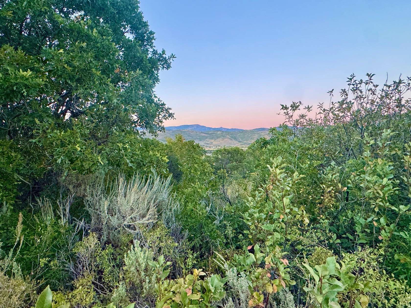 5 Acres of Residential Land for Sale in Kamas, Utah